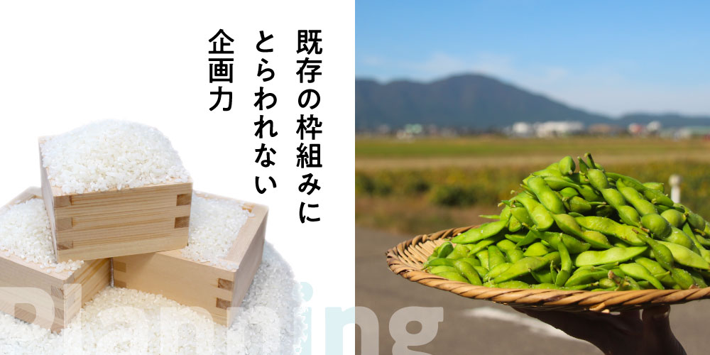 slide-3